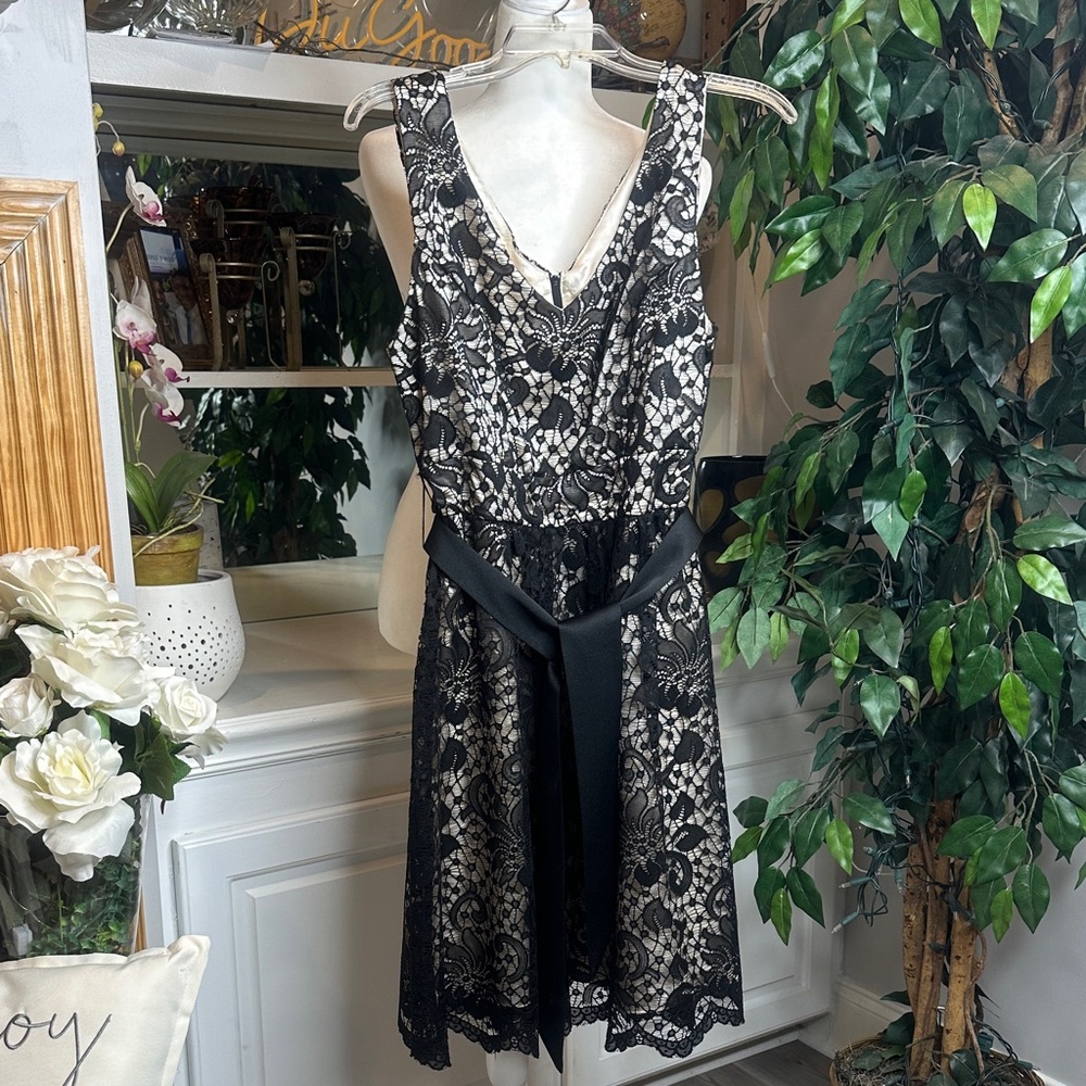 EUC Dress Barn Black and Cream Lace Mini Dress, 8